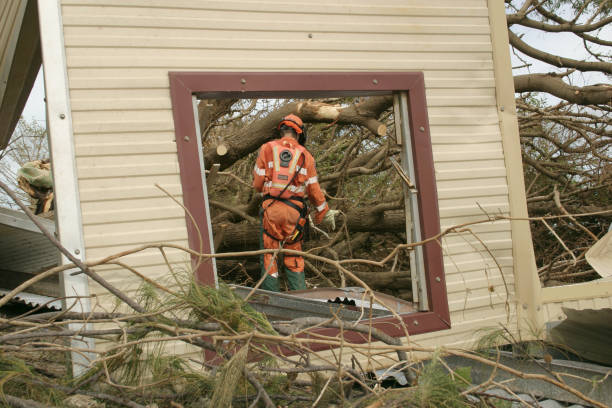 How Our Tree Care Process Works  in  Ralston, NE